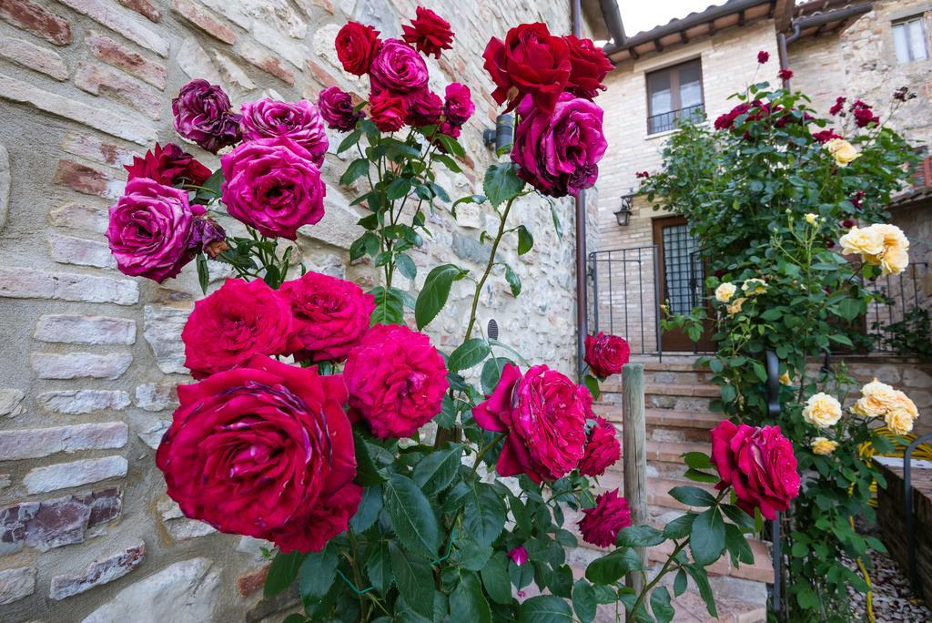 Borgocuore Todi Luaran gambar